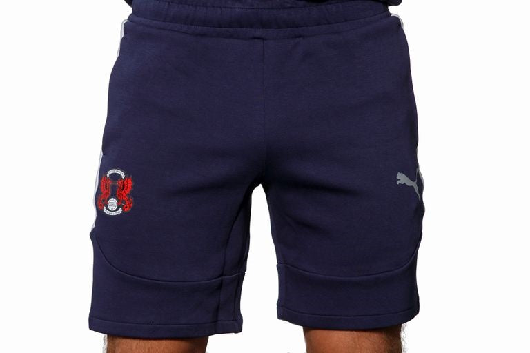 TEvo Stripe Short Navy 25/26