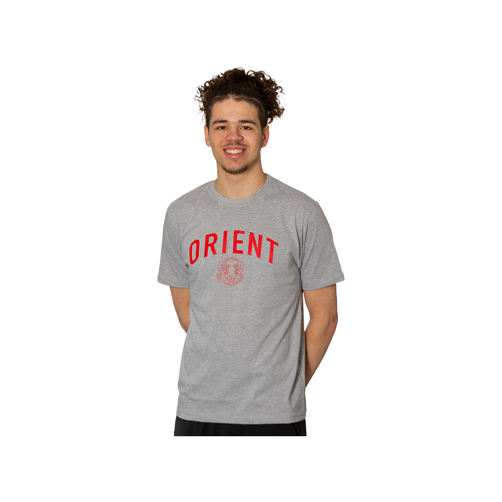 Grey Curved Orient T-shirt