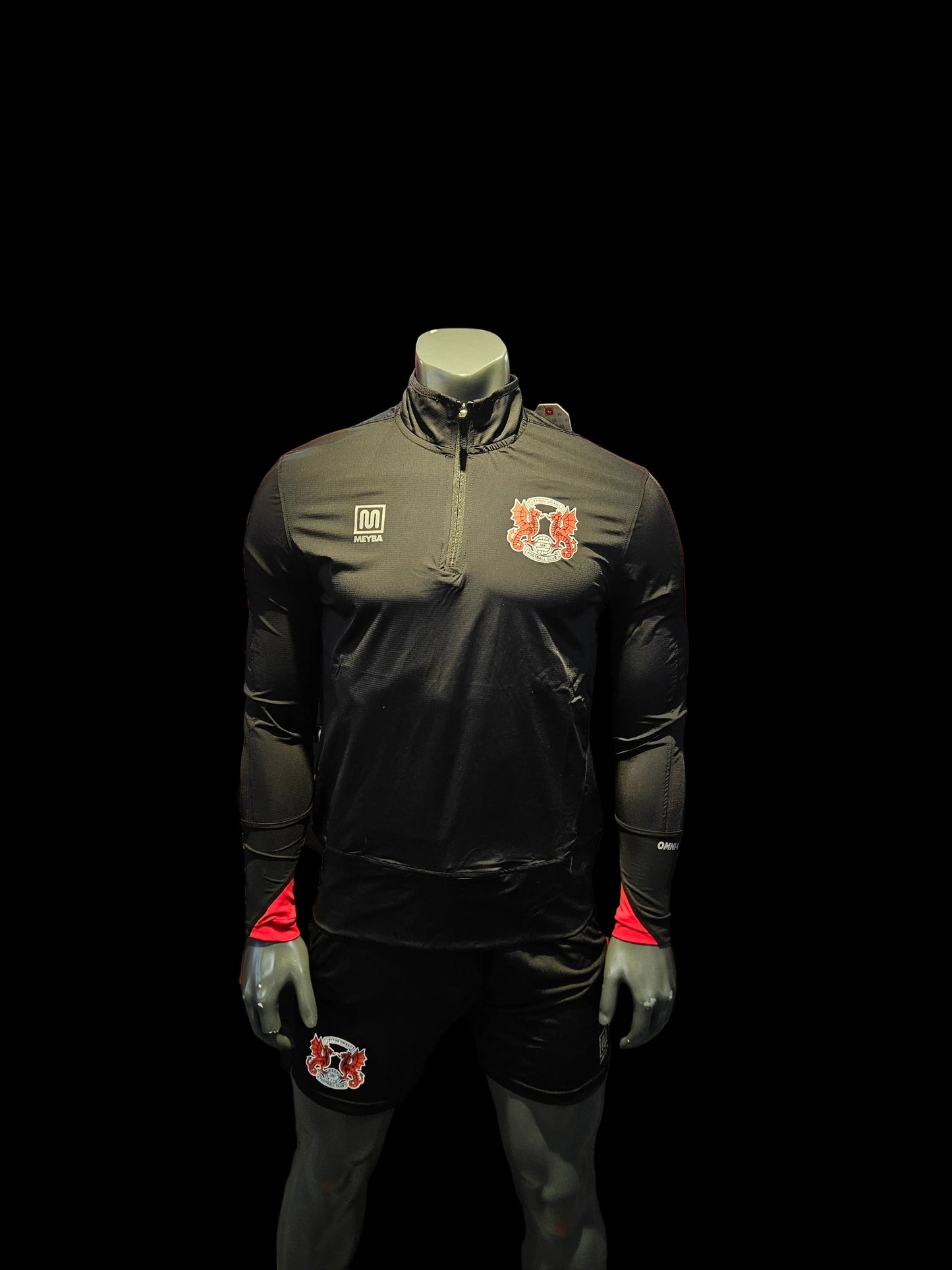 Omni Move Training 1/4 Zip
