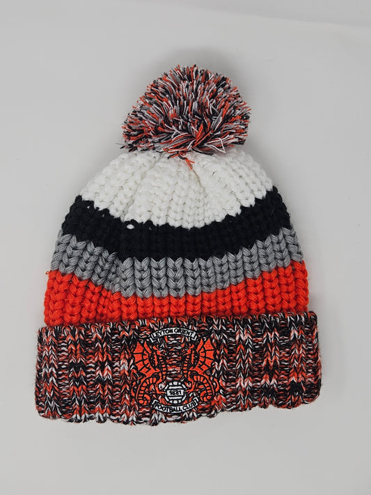 Chunky Knit Stripe Beanie