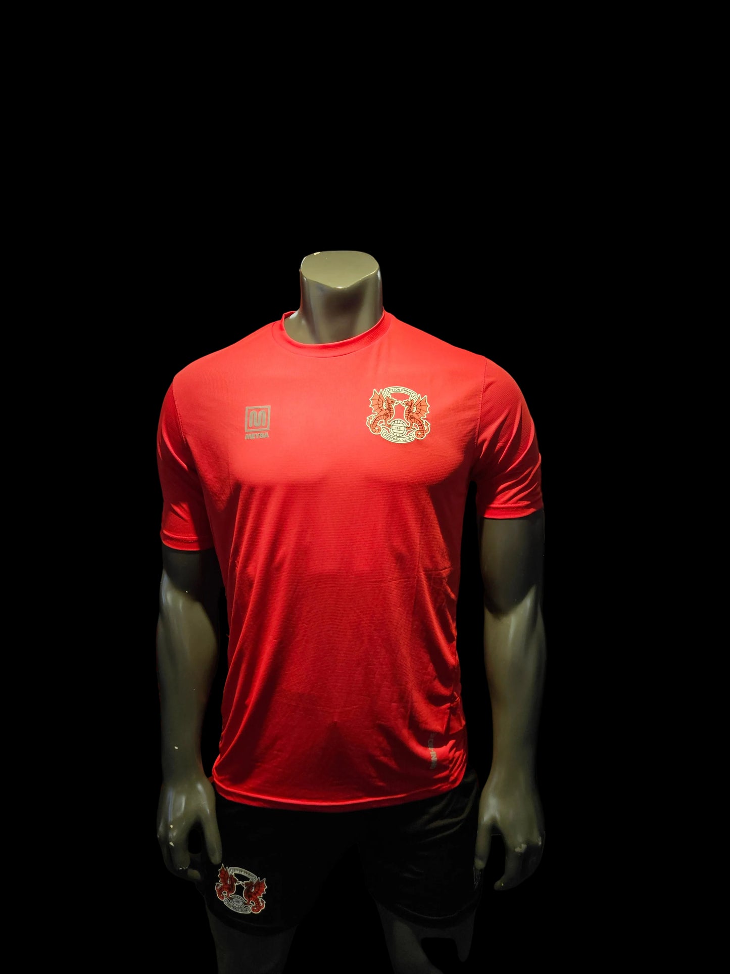 Omni Move Training Tee
