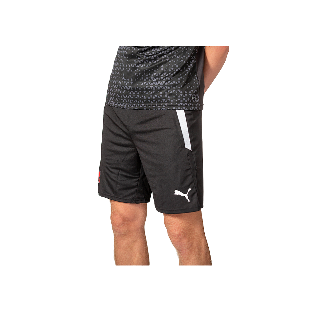 Puma liga 2025 training shorts